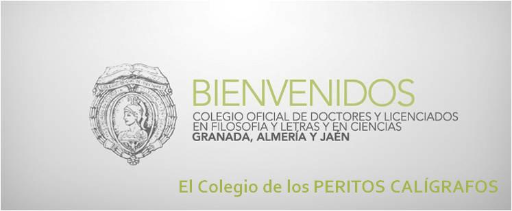 Especialidad 4